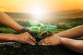 Human hand planting young plant together on dirt soil against be Royalty Free Stock Photo