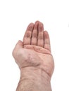 Human hand posing with straight fingers and forearm on white background