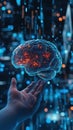A Human Hand Presenting a Glowing Digital Brain Royalty Free Stock Photo