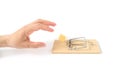 Human hand reaches for cheese mousetrap, on white background.