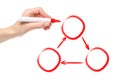 Human hand red marker of presenter drawing cycling process in three phases