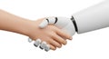 Human hand and robotic hand shaking in agreement and partnership against a white background Royalty Free Stock Photo