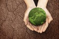 Human hand showing fertile land above the drought field