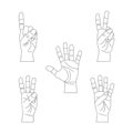 Human Hand Showing Numbers Thin Line Set . Vector