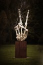 Human hand skeleton with fingers bones in symbol of victory