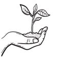 Human hand with sprout hand drawn sketch icon.