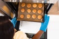 Human Hand Taking Out Tray Of Baked Cookies From Oven Royalty Free Stock Photo