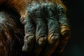 Human hand touching hand of a gorilla. Ai generative Royalty Free Stock Photo