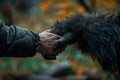 Human hand touching hand of a gorilla. Ai generative Royalty Free Stock Photo