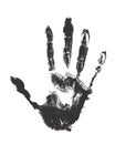 Human hand. Vector handprint