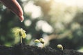 Human hand watering little green plant Royalty Free Stock Photo