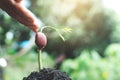 Human hand watering little green plant Royalty Free Stock Photo