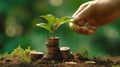 Human hand and young green sprout growing on coin stacks over green blurred background. Business finance strategy, money Royalty Free Stock Photo