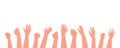 Human hands clap, clap. illustration in a flat style on a white background.