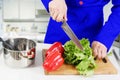 Human hands cooking vegetables salad Royalty Free Stock Photo