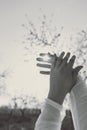 Human hands covering the bright sunlight that passes through the fingers. Royalty Free Stock Photo