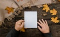 Human hands with a cup of coffee and scarf at wooden table with notebook and pen and autumn leaves. Human hands with a cup of Royalty Free Stock Photo