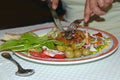 Human hands with fork and knife during eating vegetables and meat rissole