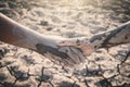 Human hands helping on cracked dry ground Royalty Free Stock Photo