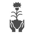 Human hands hold carnation with soil solid icon, Floral concept, Carnation silhouette with leaves and stems sign on Royalty Free Stock Photo