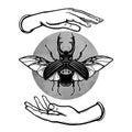 Human hands hold a horned bug. Circle of the moon. Esoteric symbol. Royalty Free Stock Photo