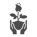 Human hands hold rose flower in soil solid icon, Floral concept, Rose blossom with leaves sign on white background, Rose Royalty Free Stock Photo