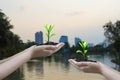 Human hands hold trees growing in hands, with blurred city landscape and skyscrapers backgrounds , Go green concept and nature