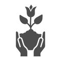 Human hands hold tulip in soil solid icon, spring concept, Tulip bud with leaves sign on white background, Tulip flower Royalty Free Stock Photo