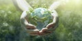 Human hands holding Earth planet with green leaves Royalty Free Stock Photo