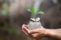 Human hands holding fertile soil and young tree, Planting trees to reduce global warming, environment Earth Day, Forest Royalty Free Stock Photo