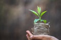 Human hands holding fertile soil and young tree, Planting trees to reduce global warming, environment Earth Day, Forest Royalty Free Stock Photo