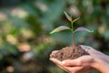 Human hands holding fertile soil and young tree, Planting trees to reduce global warming, environment Earth Day, Forest Royalty Free Stock Photo