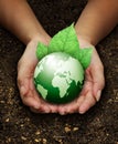 Human hands holding green on Fertilizer soil Royalty Free Stock Photo