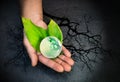 Human hands holding a green globe of planet Earth over leaves Royalty Free Stock Photo