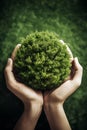 Human hands holding green planet with bloom tree, AI generated Royalty Free Stock Photo