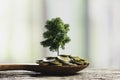 Human hands holding green small plant with coins for business and ecology concept Royalty Free Stock Photo