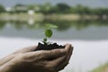 Human hands holding green small plant life concept. Ecology concept Royalty Free Stock Photo