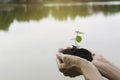 Human hands holding green small plant life concept. Ecology concept Royalty Free Stock Photo