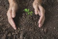 Human hands holding green small plant life concept. Royalty Free Stock Photo