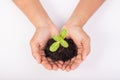 Human hands holding green small plant new life concept. Royalty Free Stock Photo