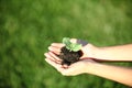 Human hands holding green small plant new life concept.