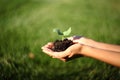Human hands holding green small plant new life concept. with wonderful swirly bokeh effect by Petzval lens. Royalty Free Stock Photo