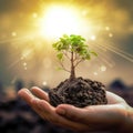 Human hands holding a green sprout growing from soil on blurred background. Generative Ai Royalty Free Stock Photo