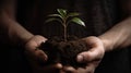 Human hands holding green sprout in soil, closeup. Earth day concept Royalty Free Stock Photo