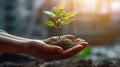 Human hands holding a small green sprout with soil on blurred background with AI generated. Royalty Free Stock Photo
