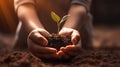 Human hands holding a small green sprout with soil on blurred background with AI generated. Royalty Free Stock Photo