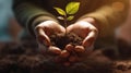 Human hands holding a small green sprout with soil on blurred background with AI generated. Royalty Free Stock Photo