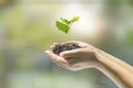 Human hands holding small plant Royalty Free Stock Photo