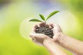 Human hands holding small plant Royalty Free Stock Photo