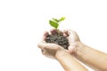 Human hands holding small plant Royalty Free Stock Photo